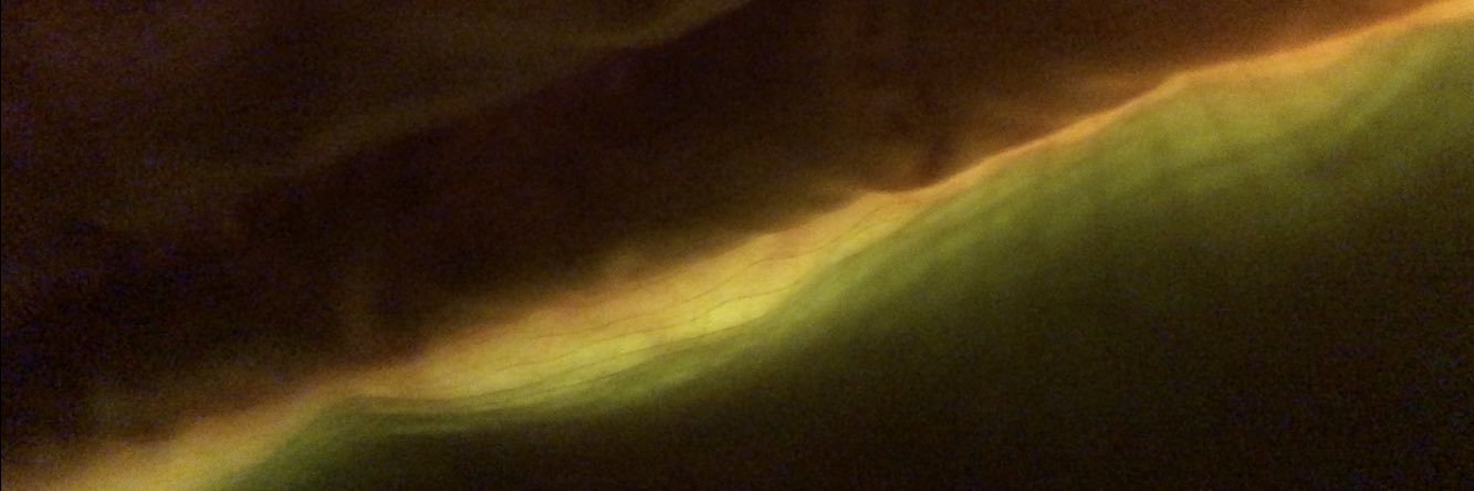 petercwarp's profile banner image