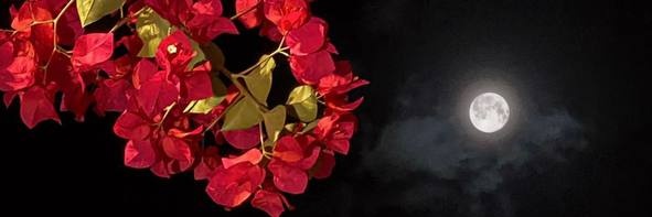 R131D's profile banner image