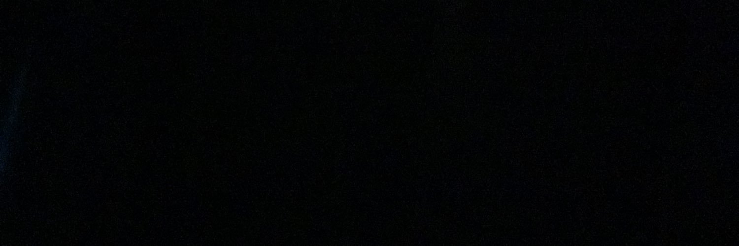 Lil Birrd banner