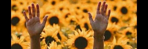 dantago_'s profile banner image