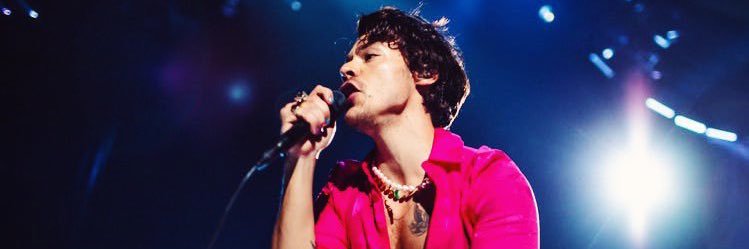hstylesvirgo's profile banner image