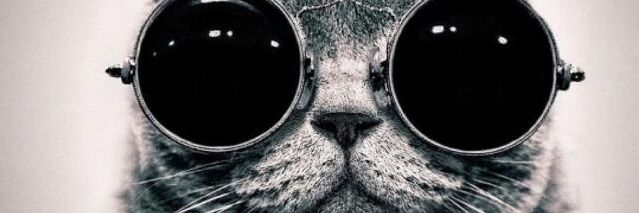 Sofiavelazquezb's profile banner image