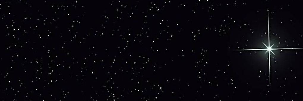 cryptid banner