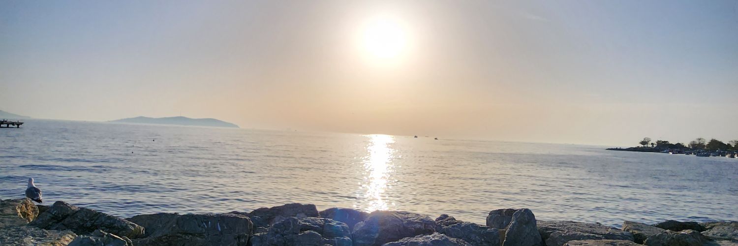 mrstekerr's profile banner image