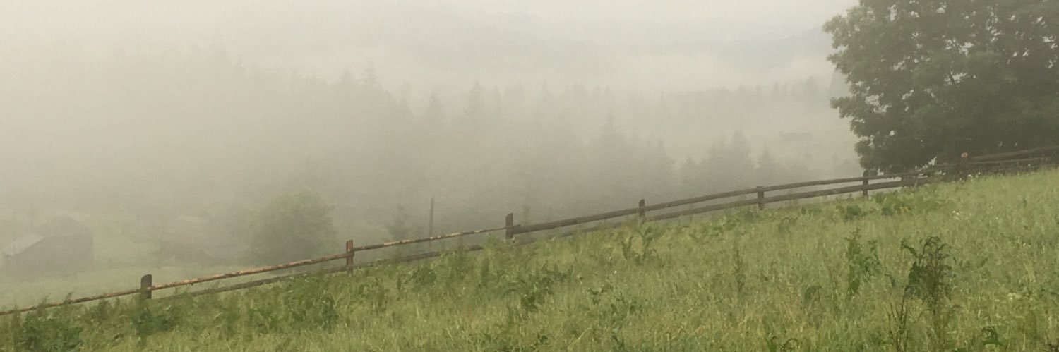 друже не дуже banner