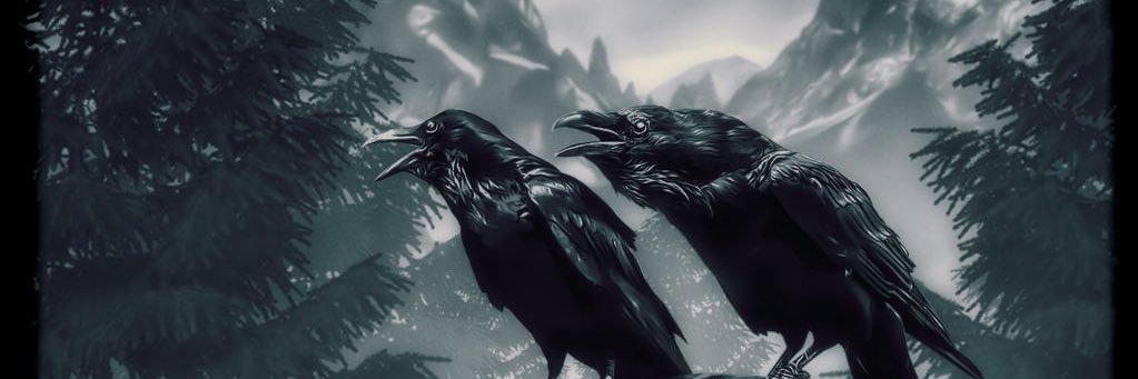 AKA FEB NOVEL banner