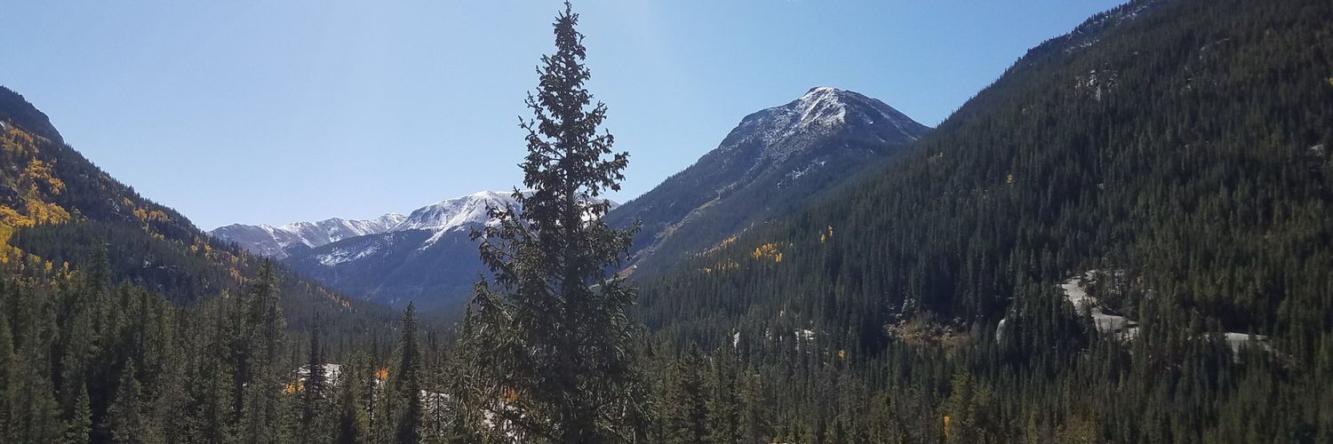 Nicole Trimboli banner