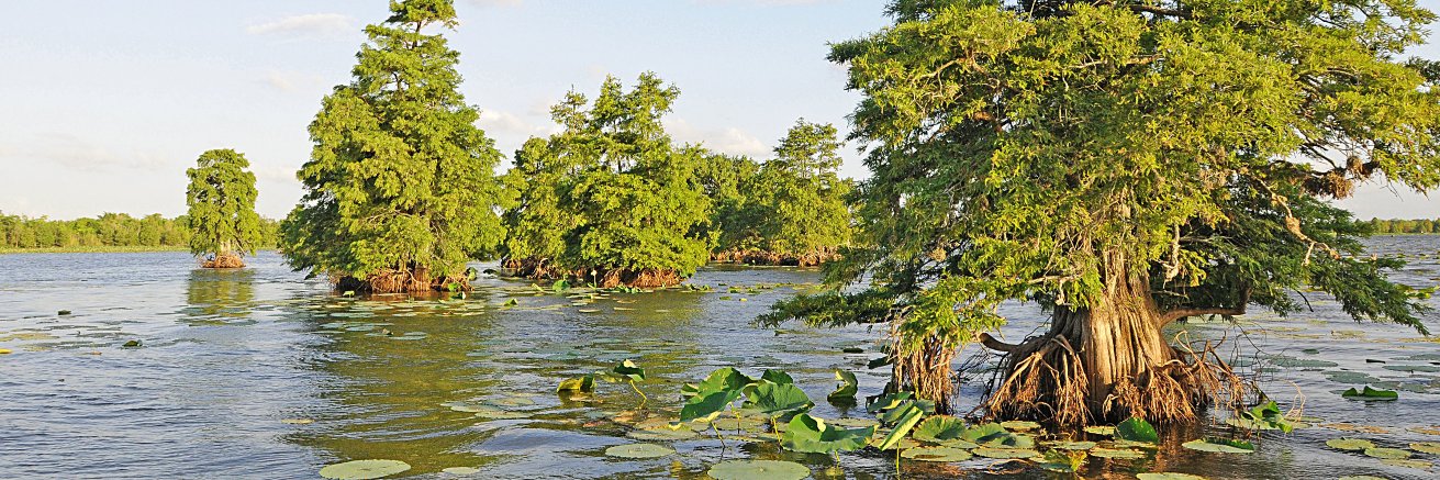 Sheldon Lake SP banner