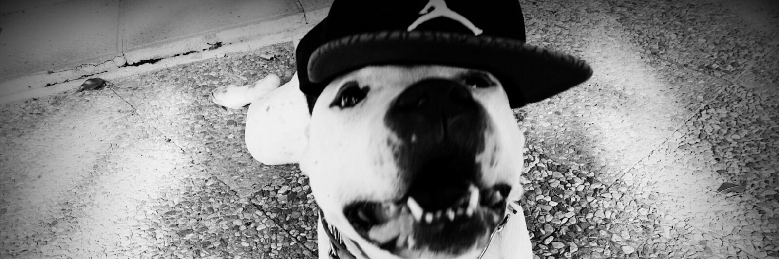 ivan_serri's profile banner image