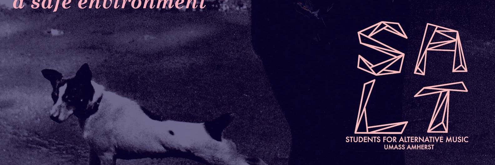 saltumass's profile banner image