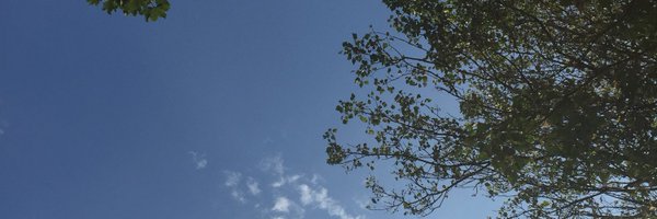 LouiseLowry7 Profile Banner