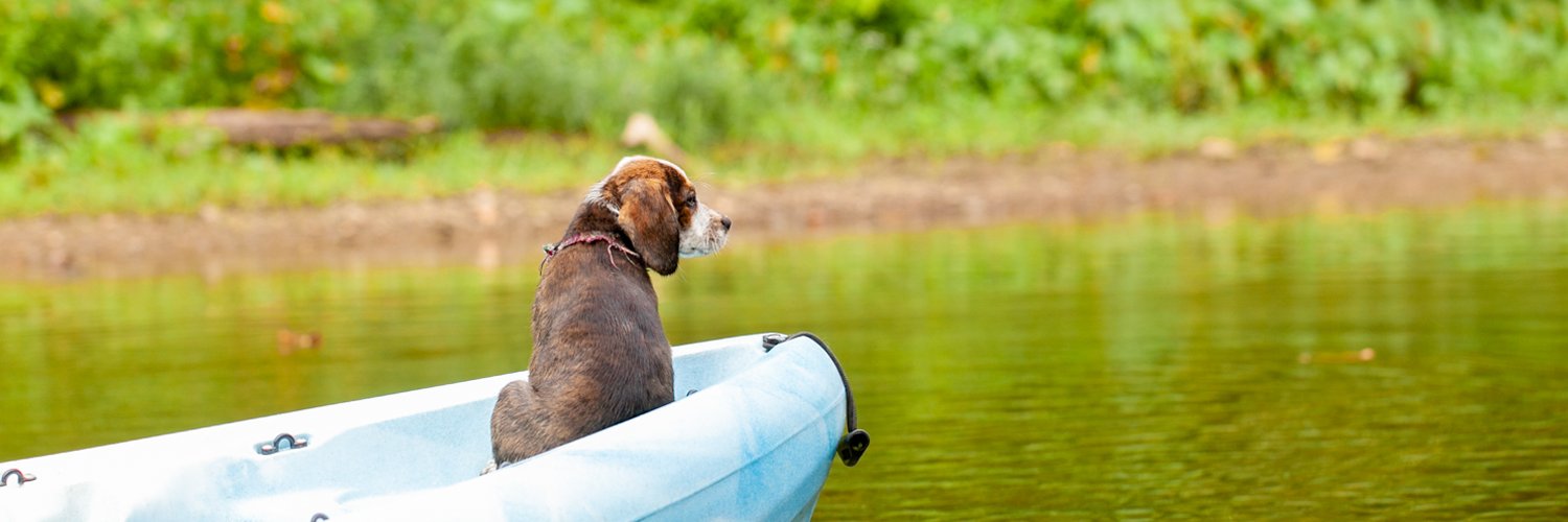 White River Kayaking & Outdoors banner