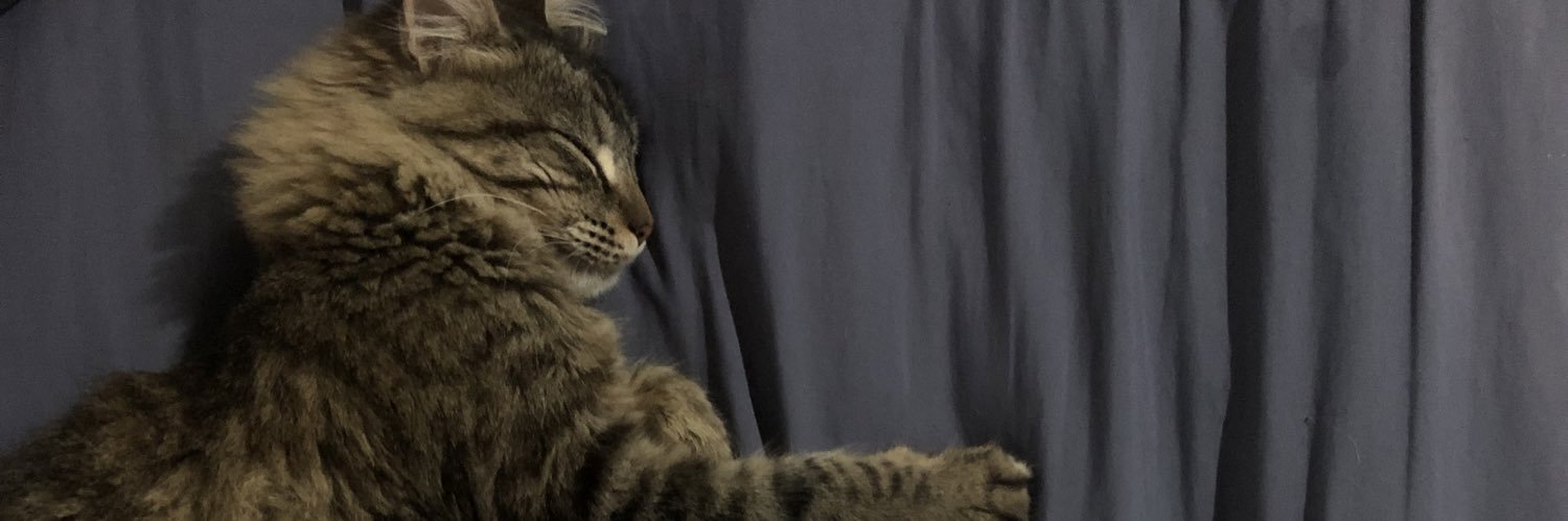𝓒𝓪𝓷 banner