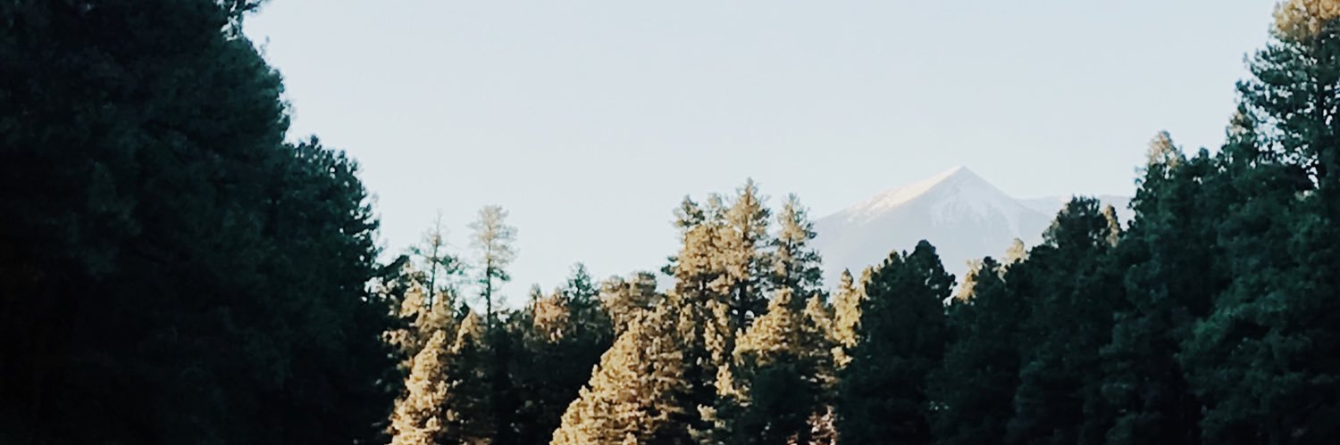 paytonriv's profile banner image