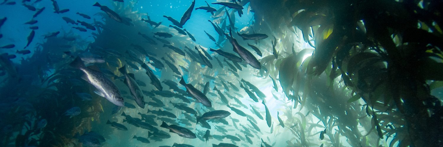 Michael Esgro banner