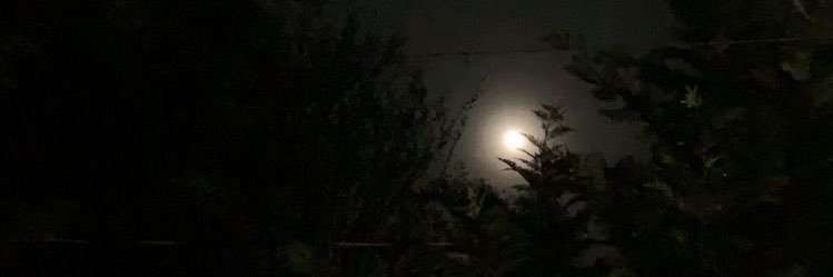 ii_rag0's profile banner image