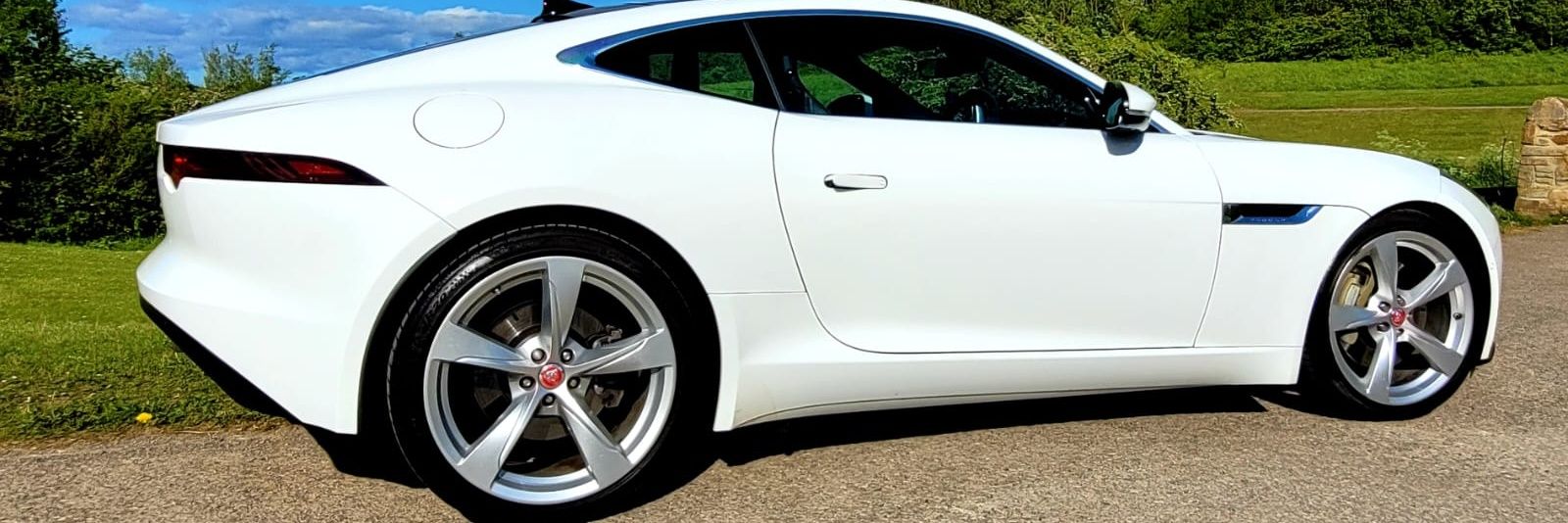 Veronica 🌹 banner