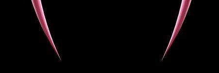 𝖙𝖗𝖚𝖊 𝖒𝖊𝖌𝖆𝖎𝖓𝖉𝖟 banner