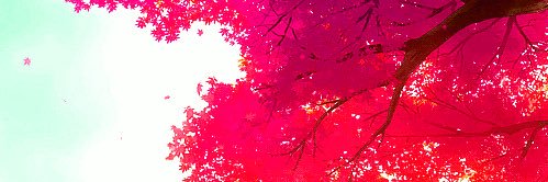 AnonymousStrings banner