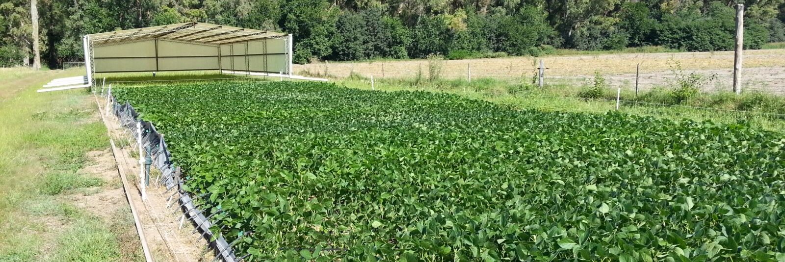 José Luis Rotundo banner