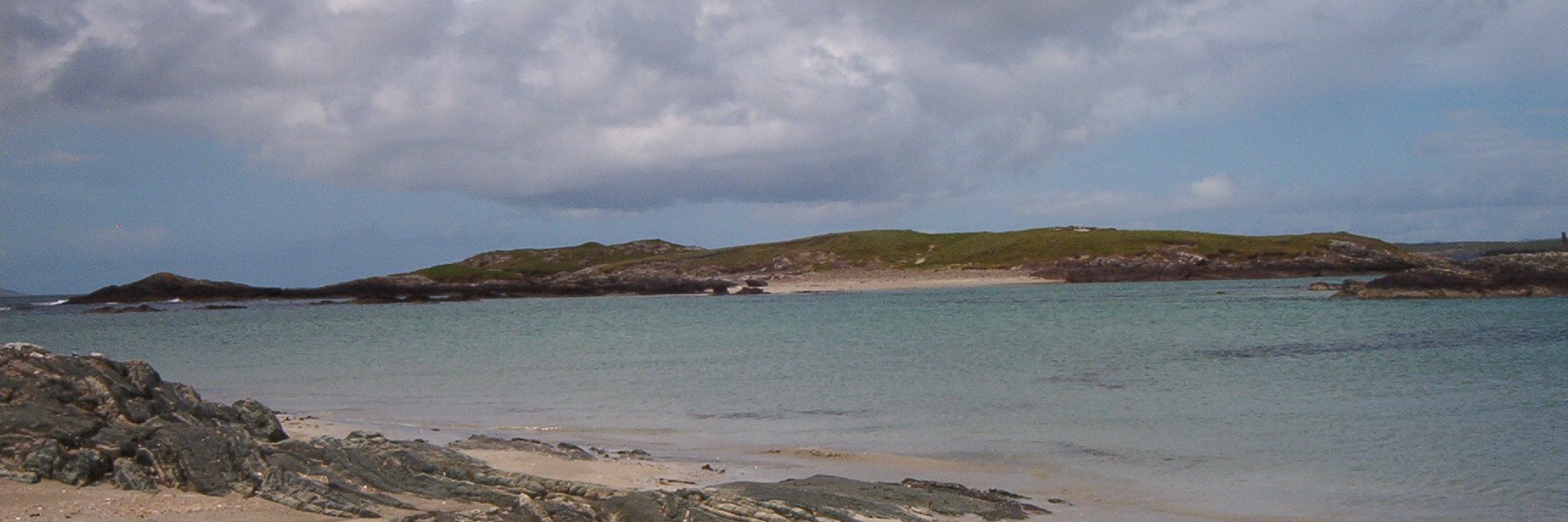 Sarah Dallaghan banner