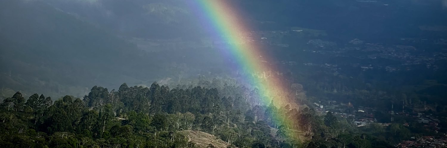 mbarahonas's profile banner image