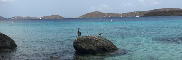 Geri_VB Profile Banner