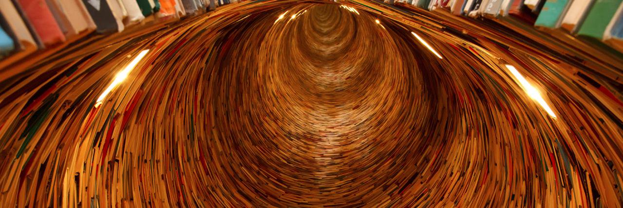 Bowie HS Library banner