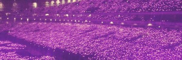 hikaru72's profile banner image