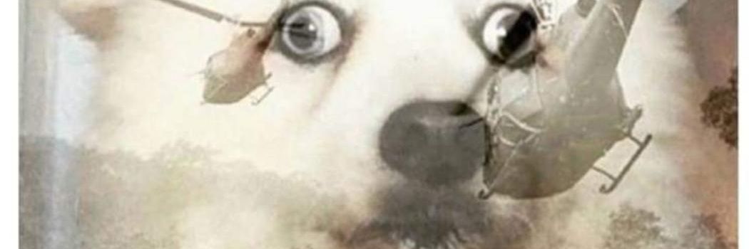 DylanGugerty's profile banner image