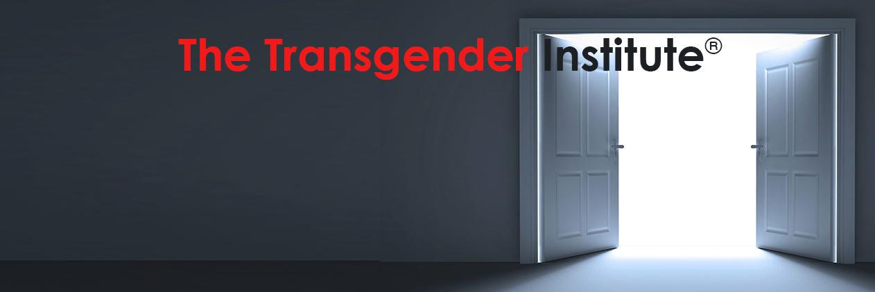TransgInstitute's profile banner image
