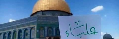 AliaaSameh4's profile banner image