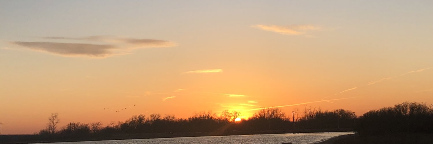 _michelecj's profile banner image