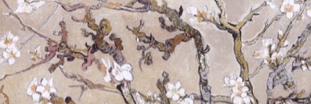 RFASEUL's profile banner image