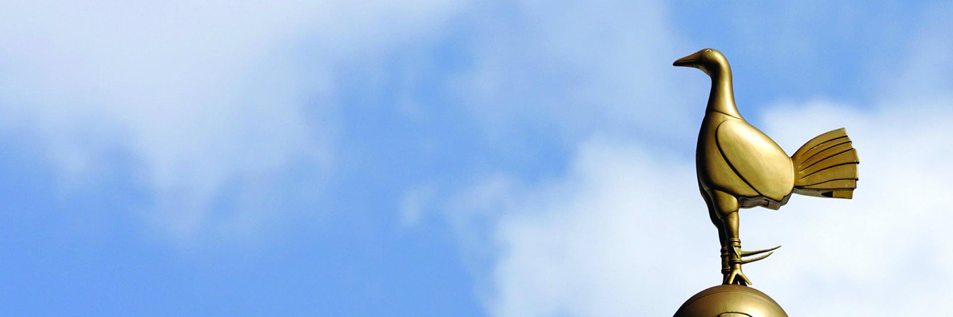 dededlv's profile banner image
