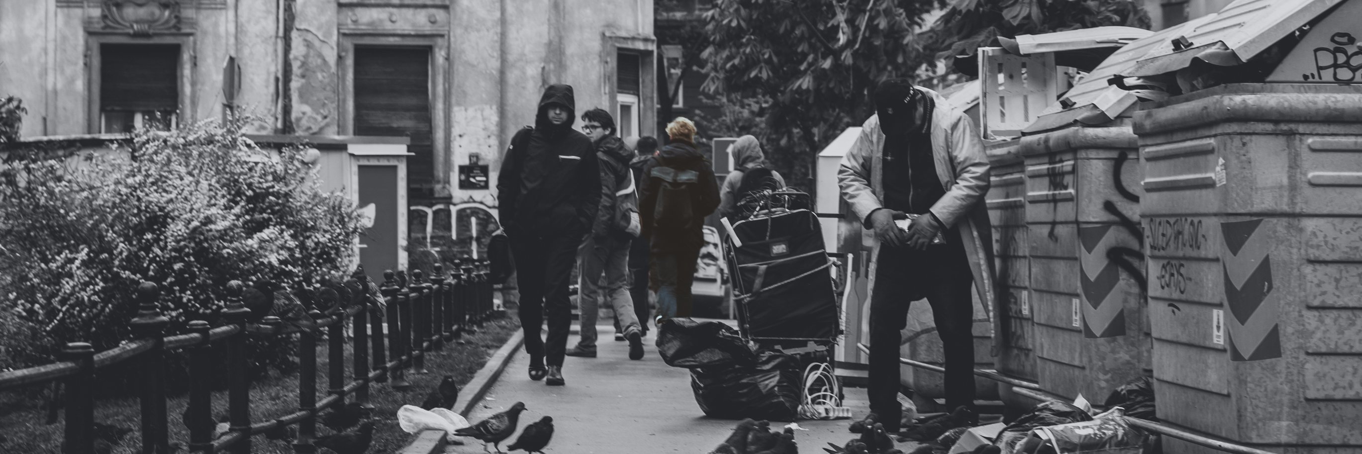 rosszember's profile banner image