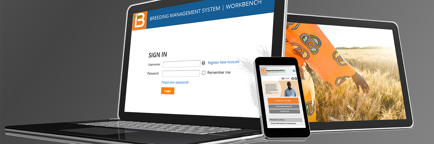 IBPlatform's profile banner image
