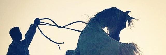 bqeyaa771's profile banner image