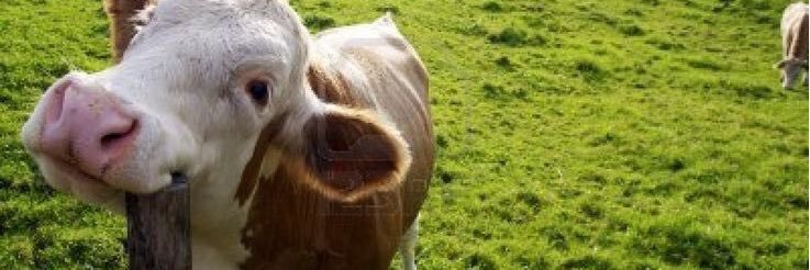 MissBeccaJean's profile banner image