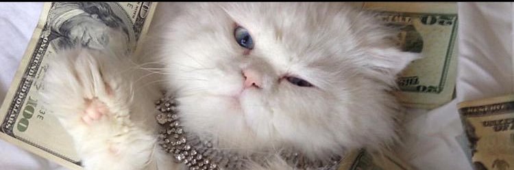 baxtersc_'s profile banner image