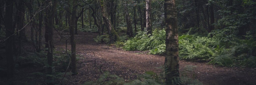 johnathan clover banner