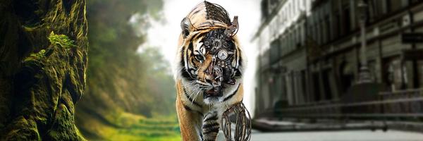 zmtrock Profile Banner