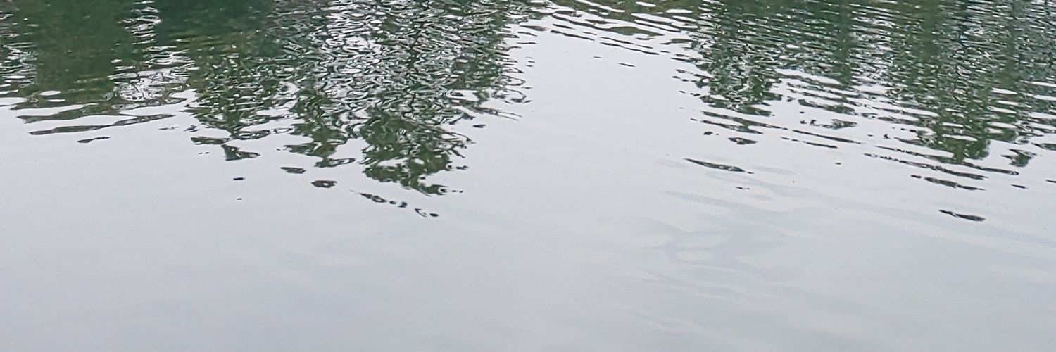 saijo444's profile banner image