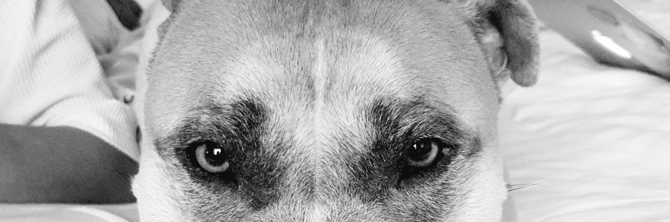 alex_brown1995's profile banner image