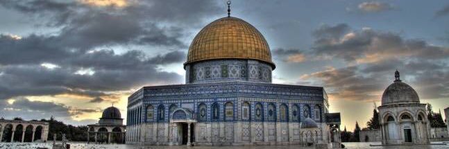 غدنان علي الشمري banner