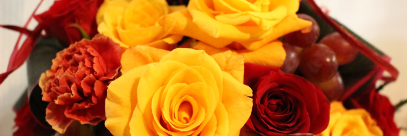 AromaticTokyo's profile banner image