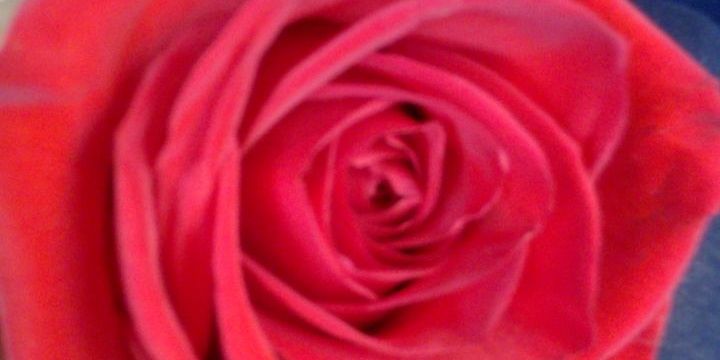 aandreapep's profile banner image
