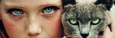 HaLiLEmReYce's profile banner image