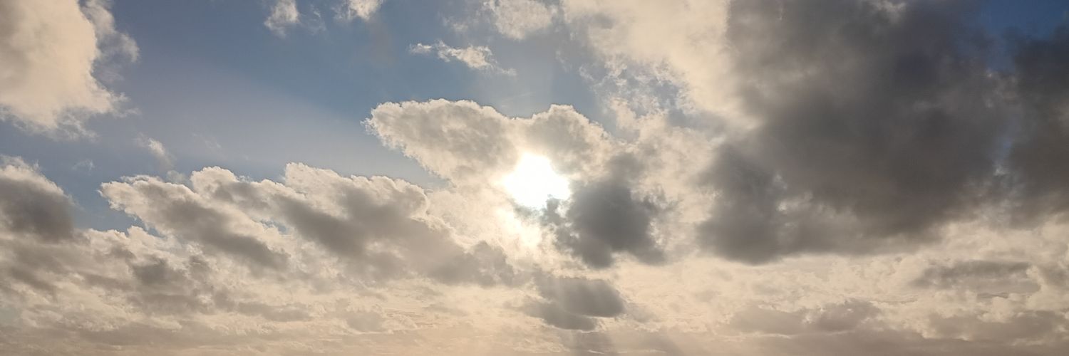 WhingingSydney's profile banner image