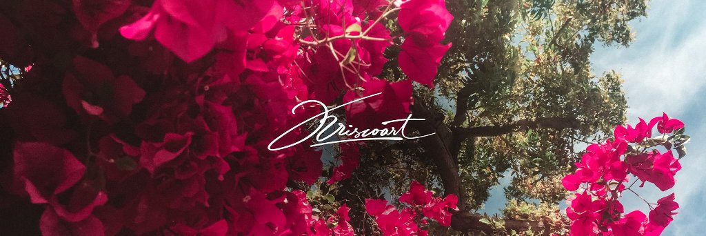 Kriscoart banner